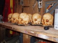 Workshop-Skulls.jpg